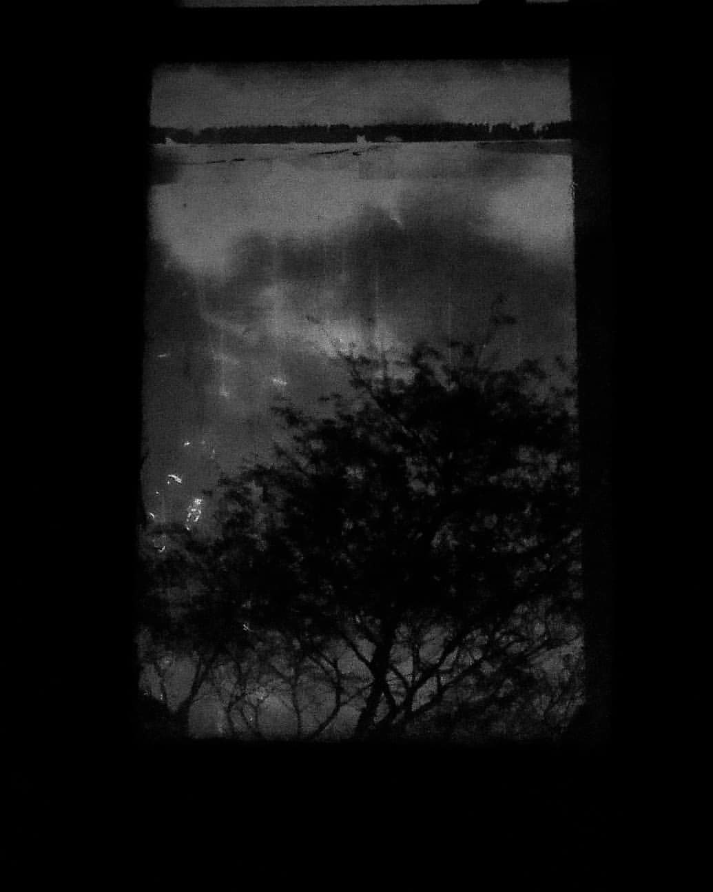 Foto em preto e branco da vista de uma janela: a copa de uma árvore contra o céu, emoldurada pelo caixilho escuro